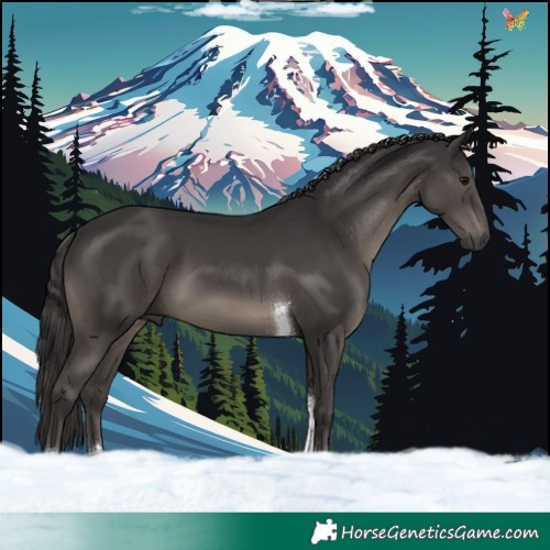 Horse Color:Smoky Black Tobiano Rabicano 