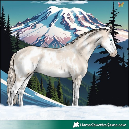 Horse Color:White Spotted Smoky Creme Dun Splash Rabicano 