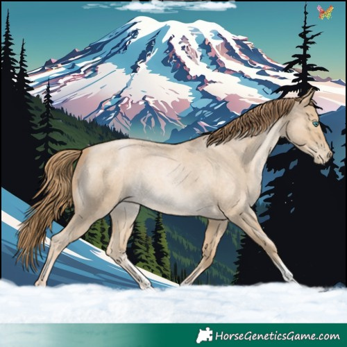 Horse Color:Smoky Blue Roan Pearl Sabino 