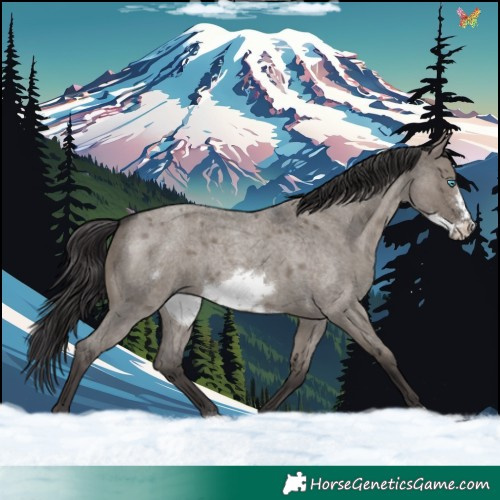 Horse Color:Smoky Grullo Roan Frame Rabicano 