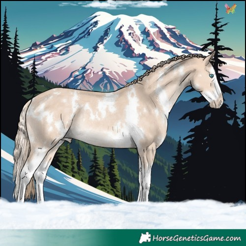 Horse Color:White Spotted Perlino Splash Rabicano 