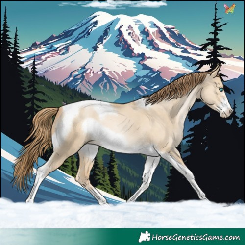 Horse Color:Smoky Grullo Pearl Tobiano Frame 