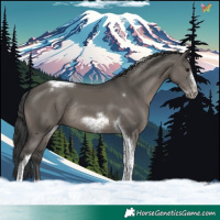 Horse Color:Grullo Tobiano Frame Rabicano