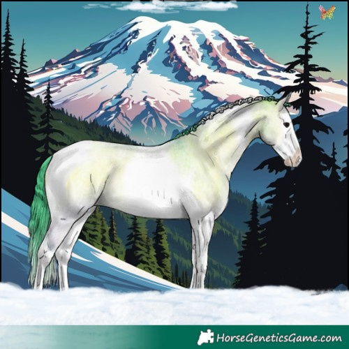 Horse Color:Watercolor Grullo Roan Onyx Splash Tobiano 