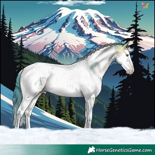 Horse Color:Watercolor Buckskin Dun Sabino Splash Tobiano 