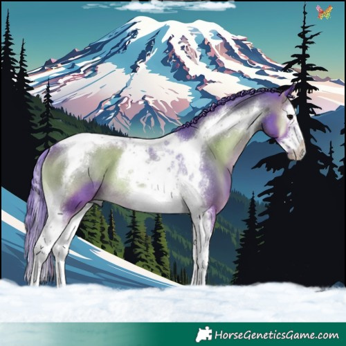 Horse Color:Watercolor Blue Onyx Splash Tobiano Frame Rabicano 