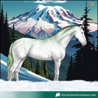 Horse Color:Watercolor White Spotted Buckskin Onyx Sabino Splash Varnish Rabicano
