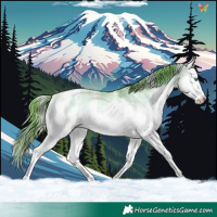 Horse Color:Watercolor White Spotted Buckskin Onyx Sabino Splash Appaloosa Rabicano 