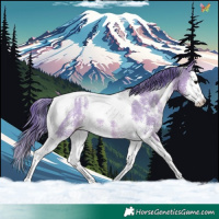 Horse Color:Watercolor Smoky Grullo Sabino Splash Tobiano Appaloosa Rabicano 