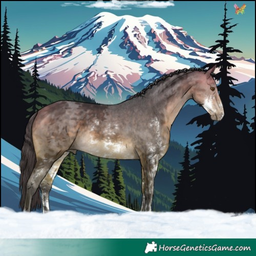 Horse Color:Buckskin Sabino 
