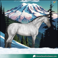 Horse Color:Blue Roan 