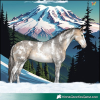 Horse Color:White Spotted Buckskin Sabino Rabicano