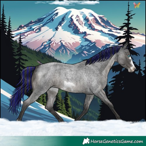 Horse Color:Painted Blue Roan Frame 