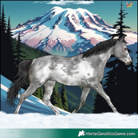 Horse Color:Blue Roan Sabino Frame Rabicano 