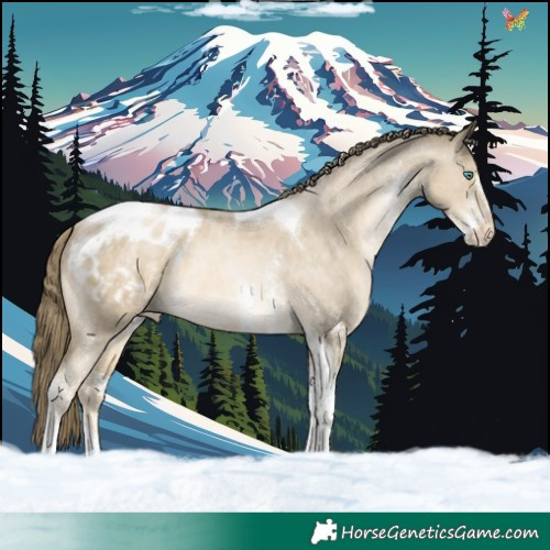 Horse Color:Smoky Black Pearl Sabino Tobiano Blanket 