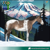 Horse Color:Brown Dun Tobiano Frame Rabicano