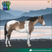 Horse Color:Brown Dun Tobiano Frame Rabicano 