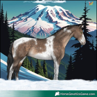 Horse Color:Brown Dun Tobiano Frame Rabicano 