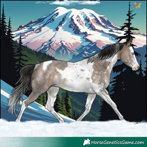 Horse Color:Brown Dun Sabino Splash Tobiano Rabicano 