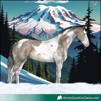 Horse Color:Brown Dun Sabino Splash Tobiano Rabicano