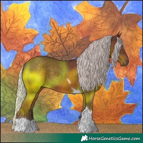 Horse Color:Silver Black Tobiano Rabicano 
