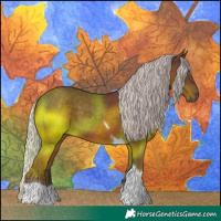 Horse Color:Silver Black Tobiano Rabicano 