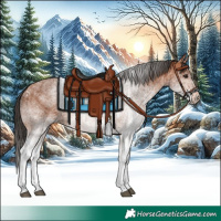 Horse Color:White Spotted Bay Rabicano