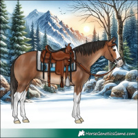 Horse Color:Bay Splash 