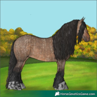 Horse Color:Brown Dun and Brown Dun
