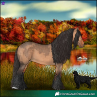Horse Color:Bay Dun  and Bay Dun 