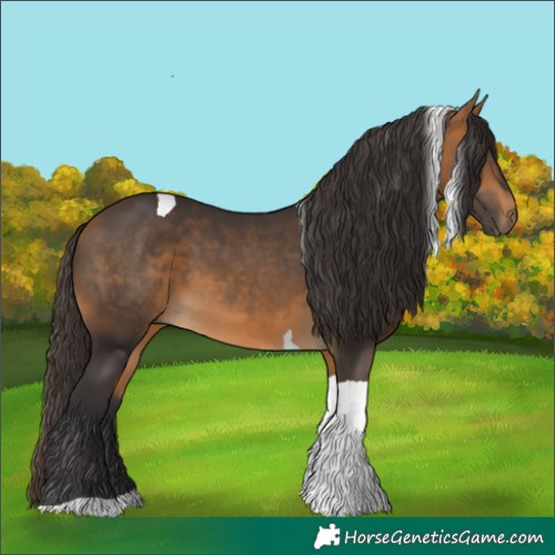 Horse Color:Buckskin Tobiano