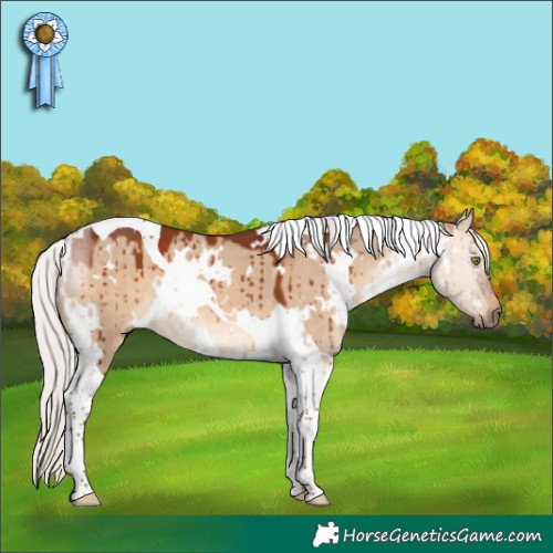 Horse Color:White Spotted Silver Brown Dun Tobiano Brindle 