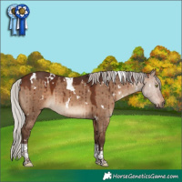 Horse Color:White Spotted Silver Brown Dun Tobiano Brindle 