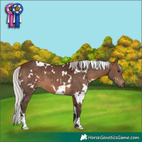 Horse Color:White Spotted Silver Brown