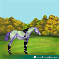 Horse Color:ERROR: UNKNOWN ANOMALY