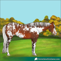 Horse Color:Powder White White Spotted Silver Brown