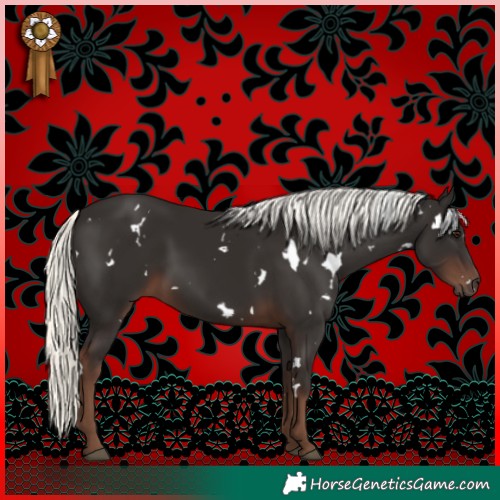 Horse Color:White Spotted Liver Chestnut Mushroom 