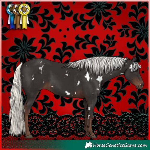 Horse Color:White Spotted Liver Chestnut Mushroom 