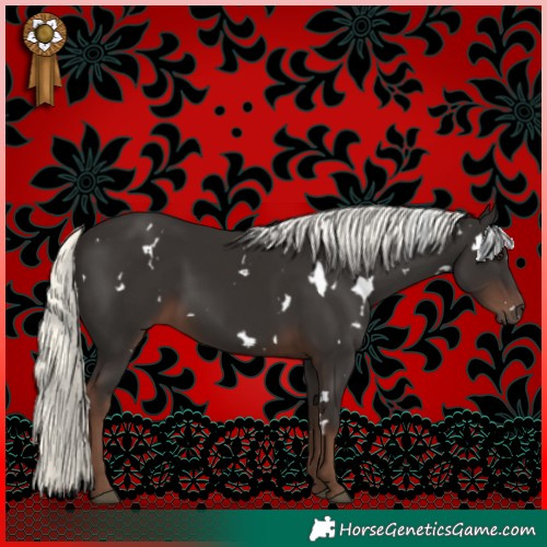 Horse Color:White Spotted Liver Chestnut Mushroom 