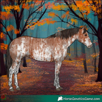 Horse Color:Bay Rabicano and Bay Sabino Rabicano