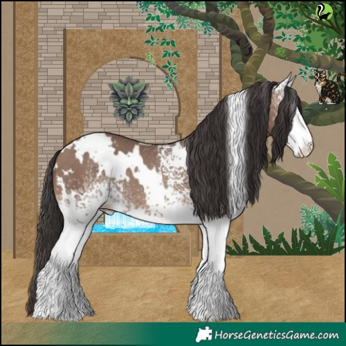 Horse Color:White Spotted Sable Champagne 