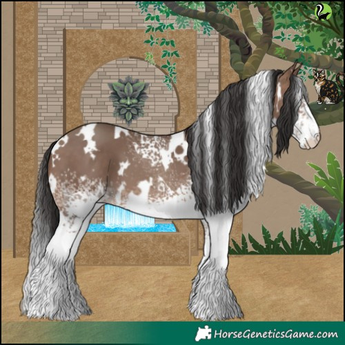 Horse Color:White Spotted Sable Champagne 