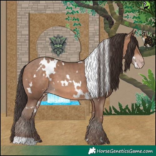 Horse Color:White Spotted Sable Champagne 