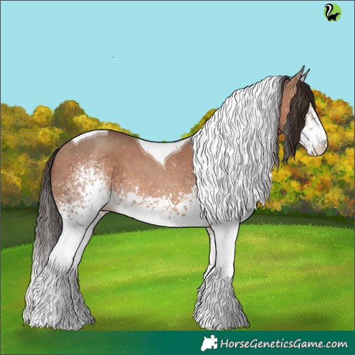 Horse Color:White Spotted Sable Champagne Tobiano