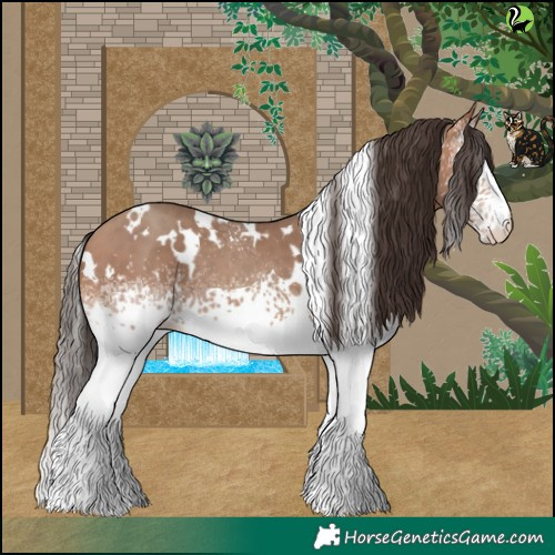 Horse Color:White Spotted Sable Champagne 