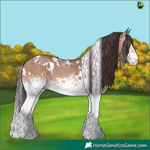 Horse Color:White Spotted Sable Champagne 