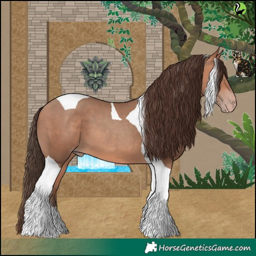 Horse Color:Amber Champagne Tobiano 