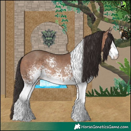 Horse Color:White Spotted Sable Champagne Tobiano 