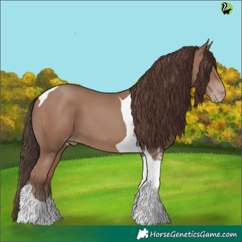 Horse Color:Classic Champagne Tobiano 