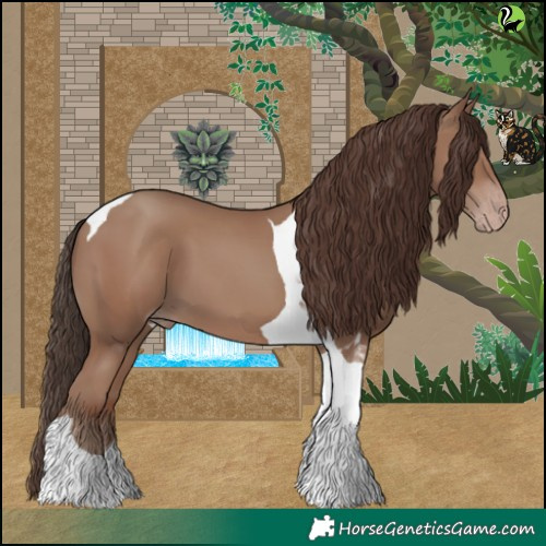 Horse Color:Classic Champagne Tobiano 